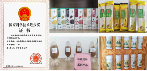 產學研融合 特色式攻關——齊齊哈爾大學破解“卡脖子”難題成功改觀谷物加工格局